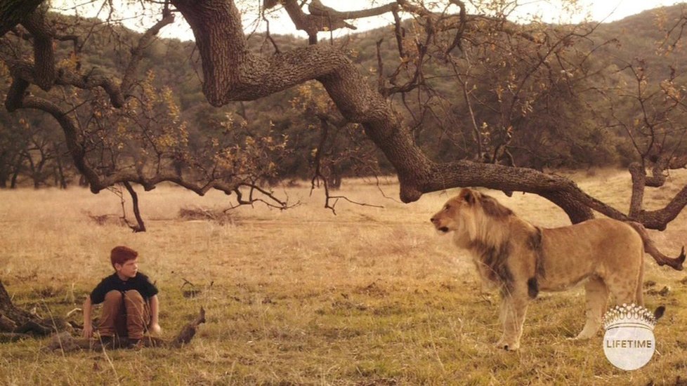 Ve filmu se Harry setká se lvem, který symbolizuje jeho matku Dianu