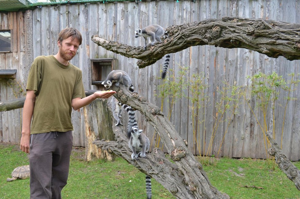 Baborskému jeho hendikep při práci v zoo nevadí.