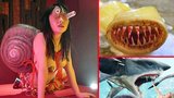 Nejšílenější filmová monstra: Zabijácky kondom, zmutovaná hlemýždí žena a vraždící bongo 
