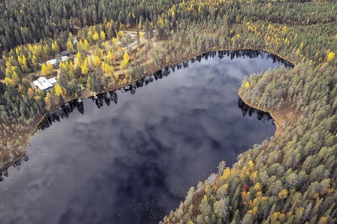 Medvědí centrum v podzimní finské tajze