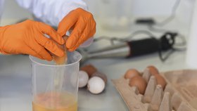 Test na fipronil ve vejcích v laboratoři v německém Erlangenu