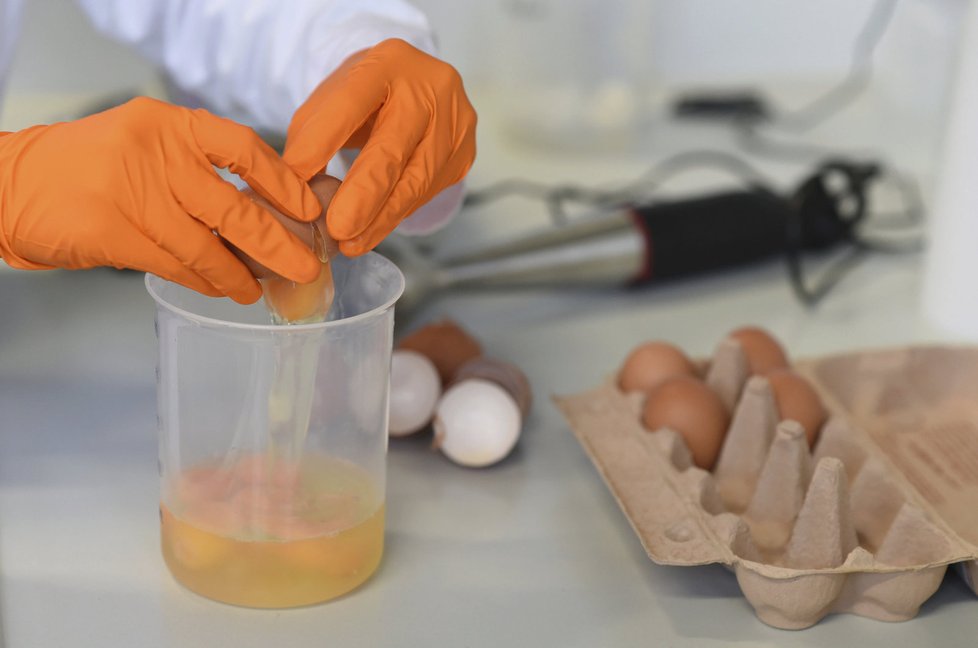 Test na fipronil ve vejcích v laboratoři v německém Erlangenu