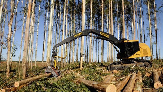 Firma Less & Forest nyní řeší, jak trefit optimální objem prací v lesích tak, aby je efektivně zajistila.