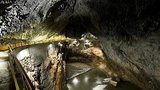 Vlakem do nitra Země – poznejte Postojenskou jeskyni ve Slovinsku!