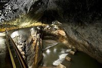 Vlakem do nitra Země – poznejte Postojenskou jeskyni ve Slovinsku!