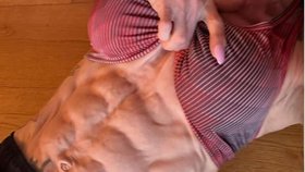 Fanoušci obdivují Rebeccy břišní svaly
