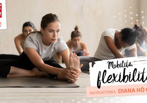 VIDEO: Mobilita a Flexibilita s s Dianou Hô Chí