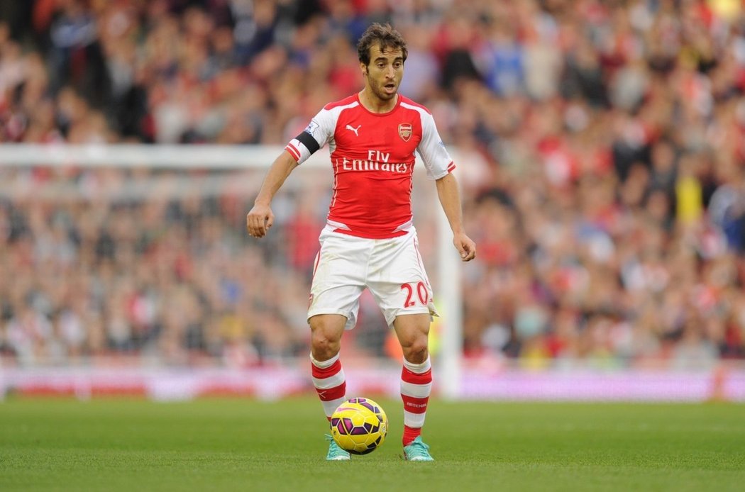 Mathieu Flamini