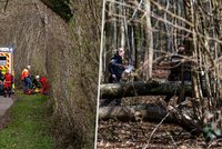 Tragédie při hledání velikonočních vajíček: Strom usmrtil kojence a další dva lidi