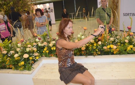 Hlavní expozice jubilejního 60. ročníku výstavy Flora.