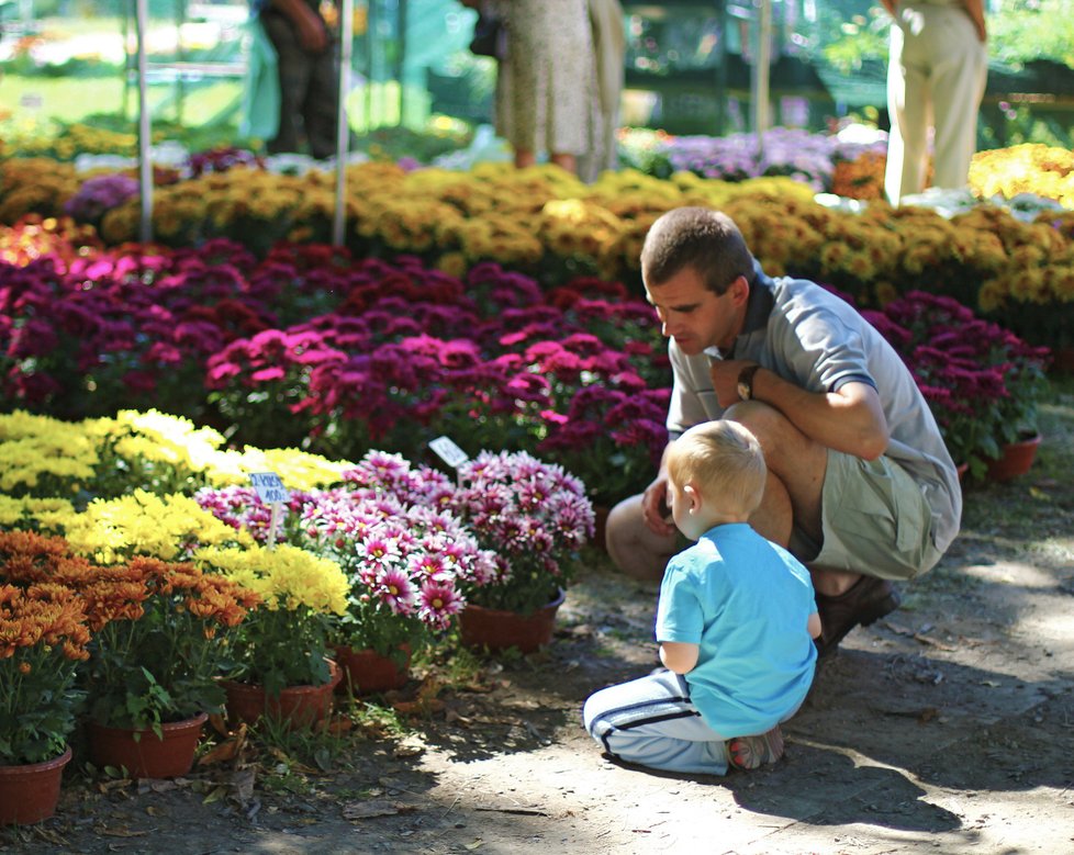 Mezinárodní květinová výstava Flora Olomouc