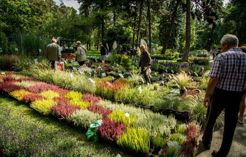 Letní Flora zve na setkání v Rajské zahradě, terakotovou armádu i hvězdy z Hollywoodu