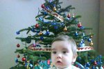 Z vánočního stromku měl malý Florián obrovskou radost
