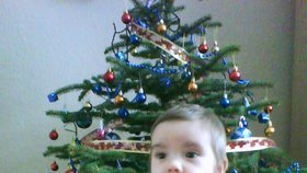 Z vánočního stromku měl malý Florián obrovskou radost