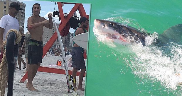 Žraloci zaútočili čtyřikrát během jediného týdne. Surfař slavil přežití v baru