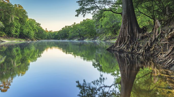 Přírodní ráj jménem Ocala National Forest aneb K pramenům mládí na sever Floridy