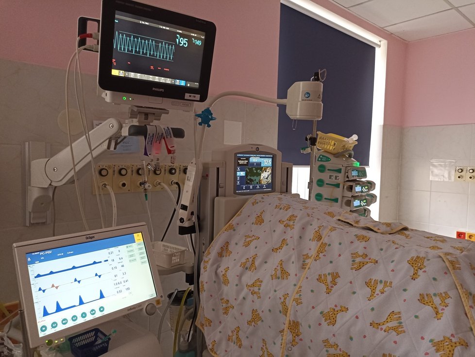 Na JIP neonatologického oddělení porodnice FN Brno na Obilním trhu nyní pečují o 7 předčasně narozených dětí.