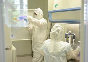 Výzkumníci z Fakultní nemocnice u sv. Anny v Brně vyrobili ve své laboratoři  léčivo, které jako jediné zabírá u pacientů po transplantaci kostní dřeně s nefunkční imunitou, u kterých se rozvinulo život ohrožující virové onemocnění.