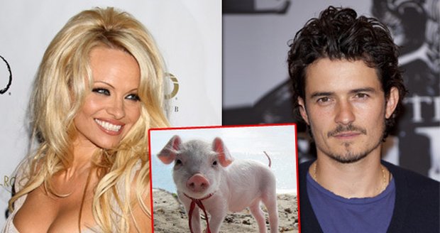Víte čeho se bojí Orlando Bloom, nebo Pamela Anderson?