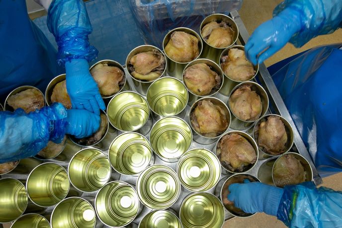 Zavařování foie gras. Zavařování foie gras.