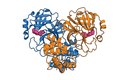Trojrozmměrný model sbalování bílkoviny