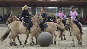 Drezura koní v Letňanech: For Horse Show chystá jízdu králů i španělské flamenco