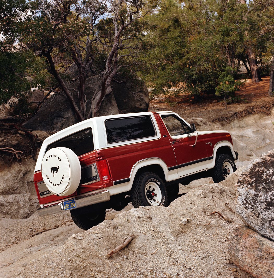 1981 Ford Bronco