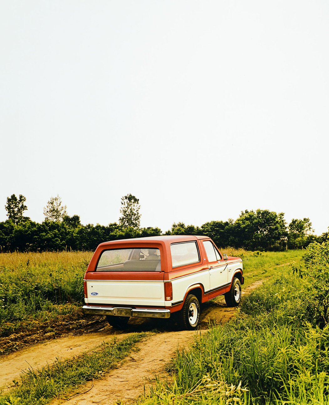 1982 Ford Bronco