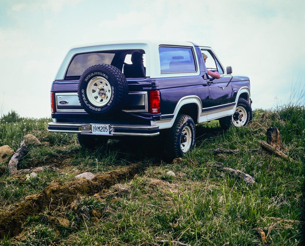 1984 Ford Bronco