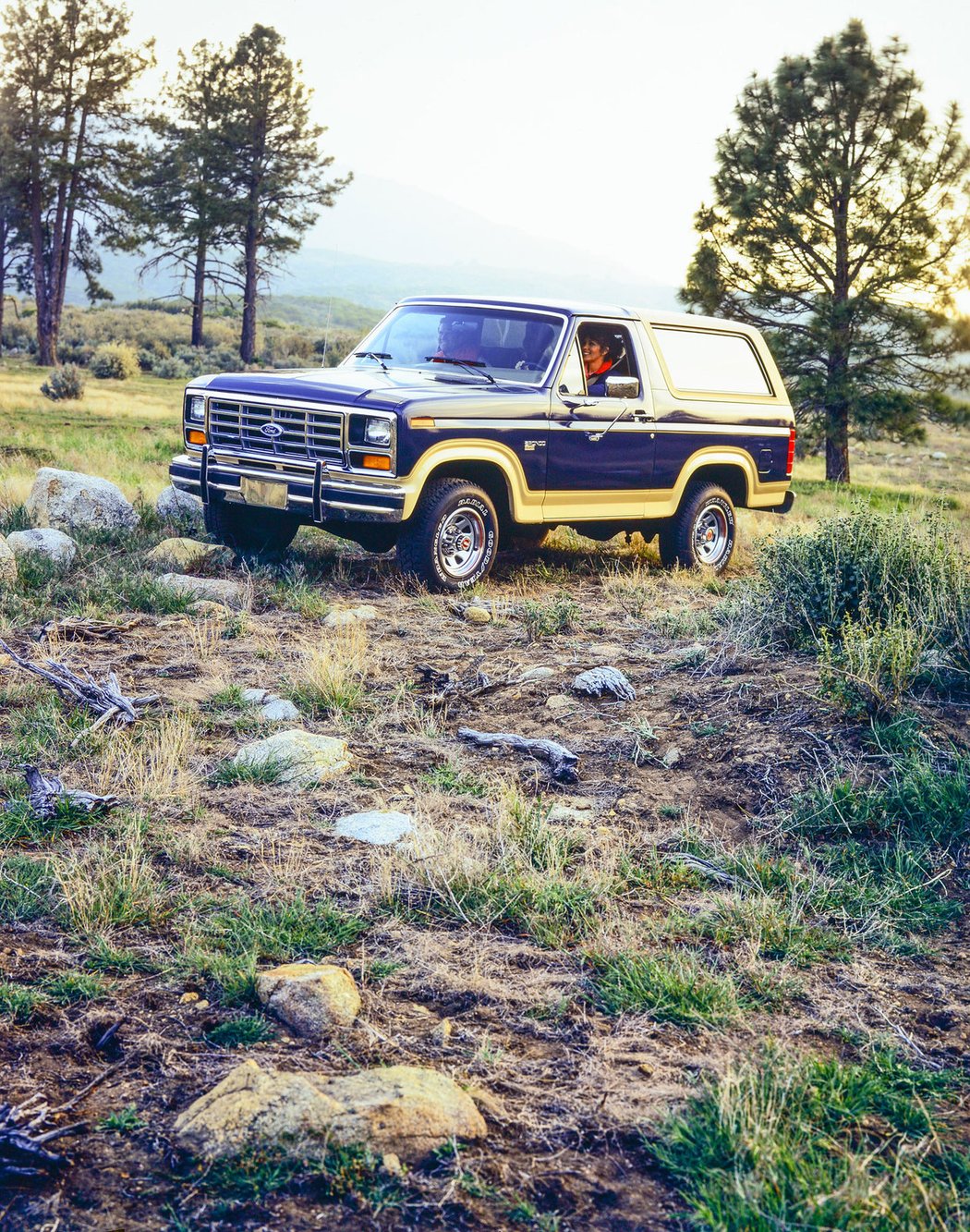 1986 Ford Bronco