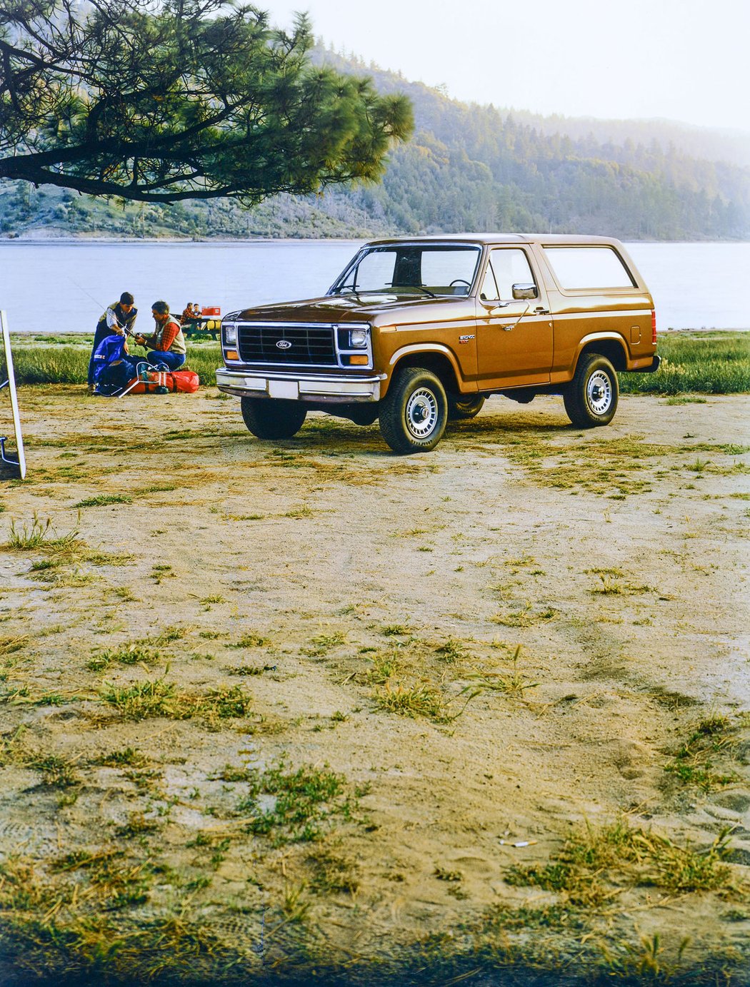 1986 Ford Bronco