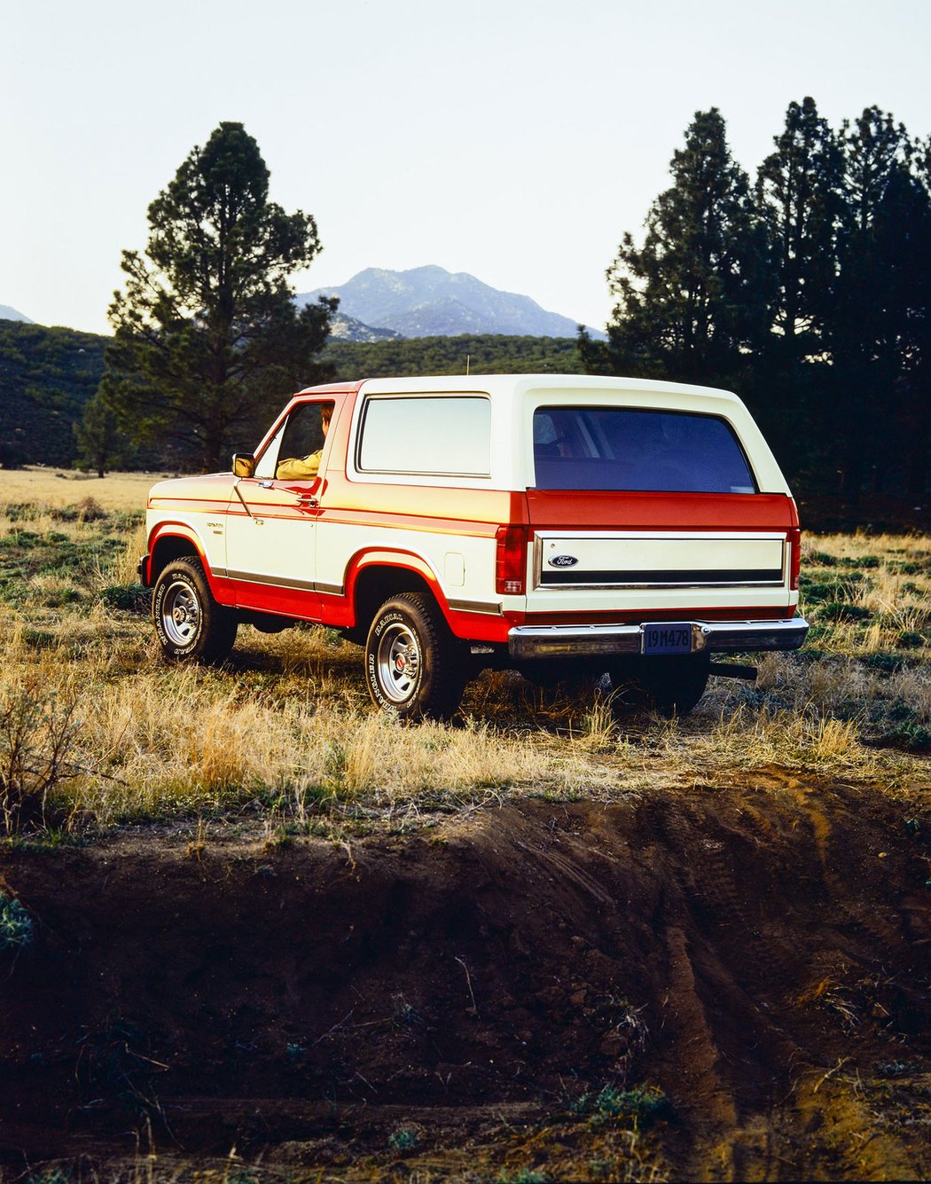 1986 Ford Bronco