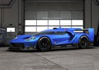 Ford GT: Vize závodní verze pro Le Mans 201?