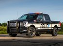 Ford F-150 Lightning Pro SSV (2023)