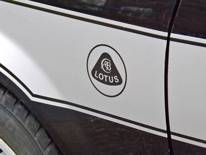 Lotus