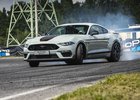 Na okruhu s Fordem Mustang Mach 1. Víc takových aut, prosím