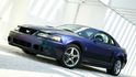 Ford Mustang SVT Cobra "Mystichrome" (2003–2004) Ford Mustang SVT Cobra "Mystichrome" (2003–2004)