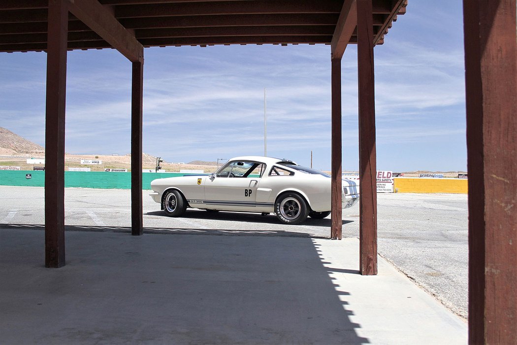 Shelby GT350R z roku 1965 se vrací do výroby