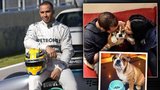 Pilot formule 1 Lewis Hamilton rozhazuje: Letadlo, tetování a nový miláček!