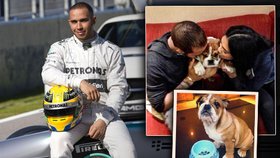 Pohádkové peníze si pilot F1 Lewis Hamilton užívá. Pořídil si letadlo, tetování a s přítelkyní Nicole Scherzinger malého buldočka.