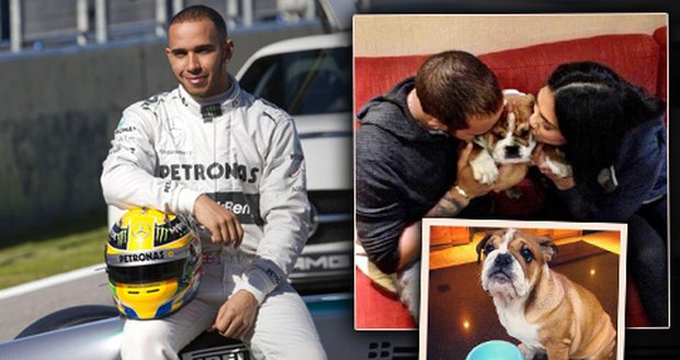 Pohádkové peníze si pilot F1 Lewis Hamilton užívá. Pořídil si letadlo, tetování a s přítelkyní Nicole Scherzinger malého buldočka.