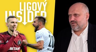 Němeček: Haraslín má malé chrániče, Havlíka „S“ nekoupí. Změní se Chorý? Němeček: Haraslín má malé chrániče, Havlíka „S“ nekoupí. Změní se Chorý?