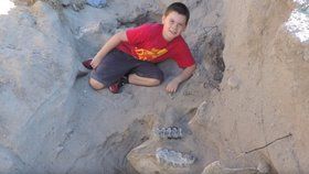 Chlapec na procházce v Novém Mexiku objevil kosti milion let starého mastondonta