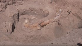 Chlapec na procházce v Novém Mexiku objevil kosti milion let starého mastondonta