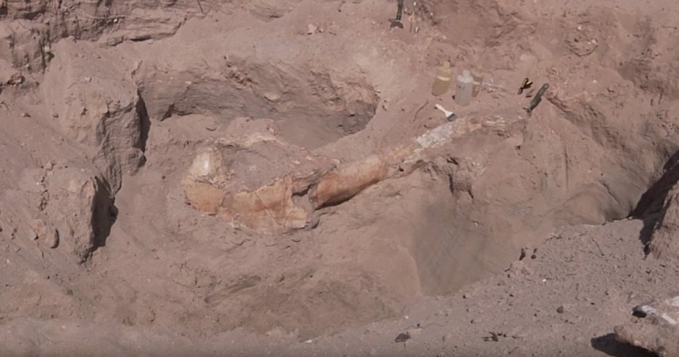 Chlapec na procházce v Novém Mexiku objevil kosti milion let starého dinosaura