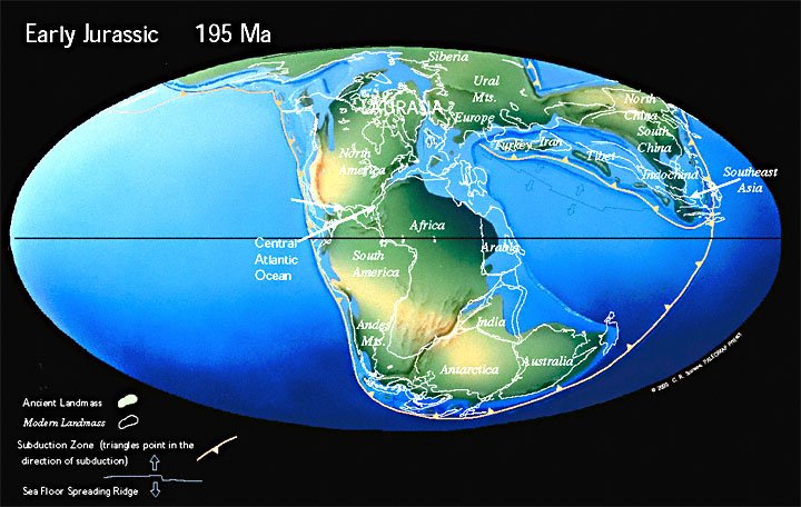 Pozice kontinentů v juře, v období, kdy žil ichtyosaurus.