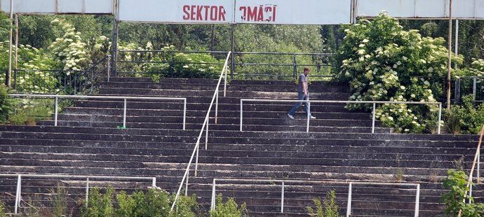 Na tribuně na stání největšího brněnského stadionu se rozrůstá zeleň