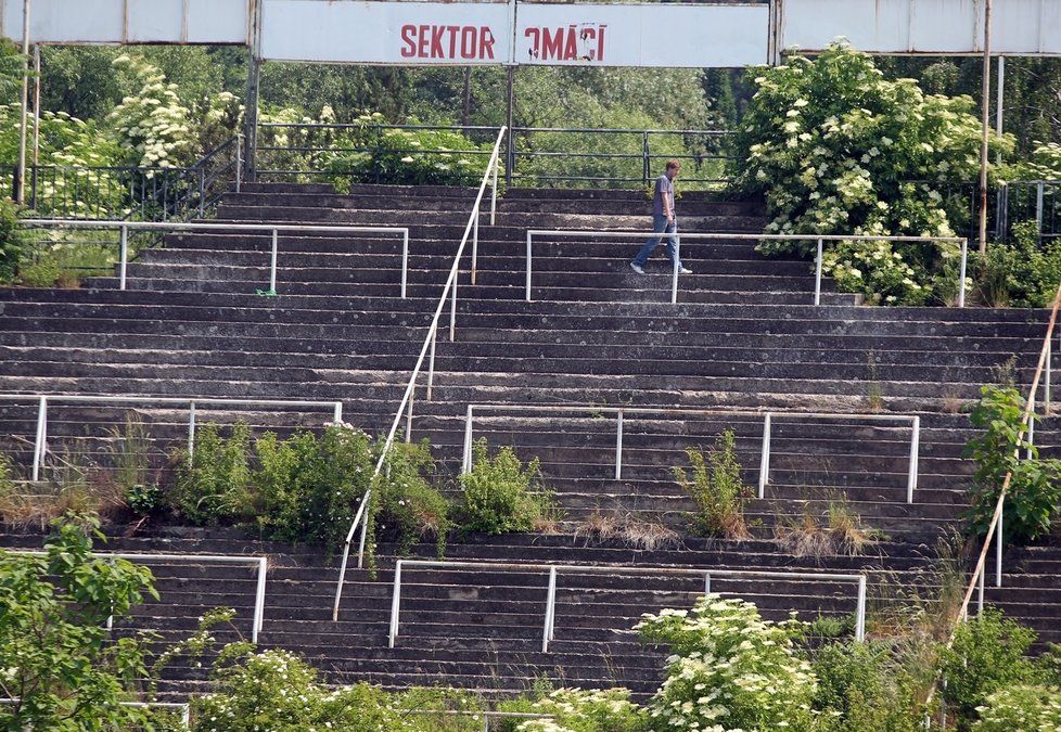 Na tribuně na stání největšího brněnského stadionu se rozrůstá zeleň