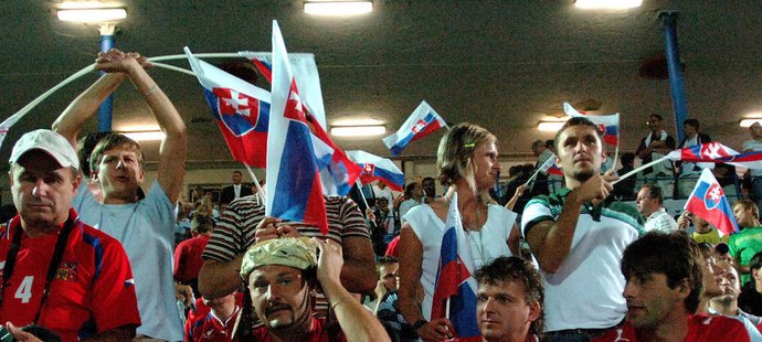 Čeští a slovenští fanoušci se možná v budoucnu potkají kromě reprezentační příležitostích i při ligových utkáních