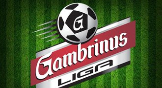 ANKETA: Gambrinus liga má nové logo. Líbí se vám?
